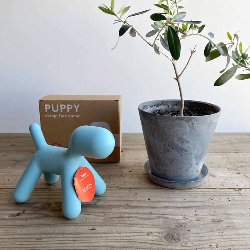 MAGIS マジス パピー XS PUPPY ブラック レッド コーラルレッド MAGIS マジス パピー XS PUPPY ブラック レッド コーラルレッド