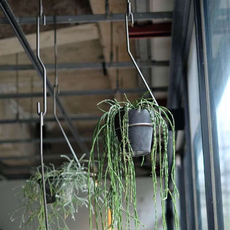 WEST VILLAGE TOKYO Lサイズ PLOP hanging holder L size