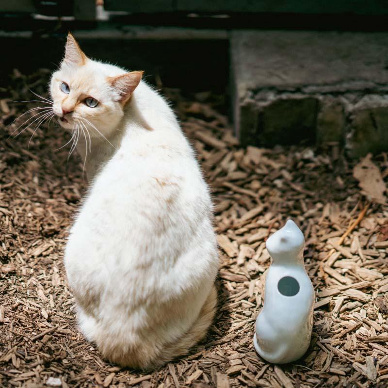 愛 編む 磁器猫 ひがし ちか zen to ゼント 白猫/桃猫/黒猫 花器 花瓶