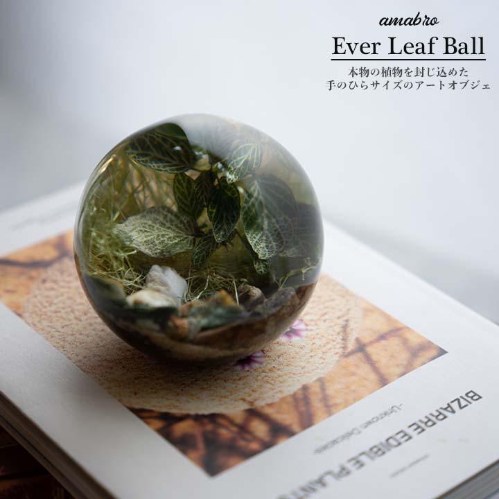 amabro（アマブロ） エバー リーフ ボール Ever Leaf Ball amabro 植物