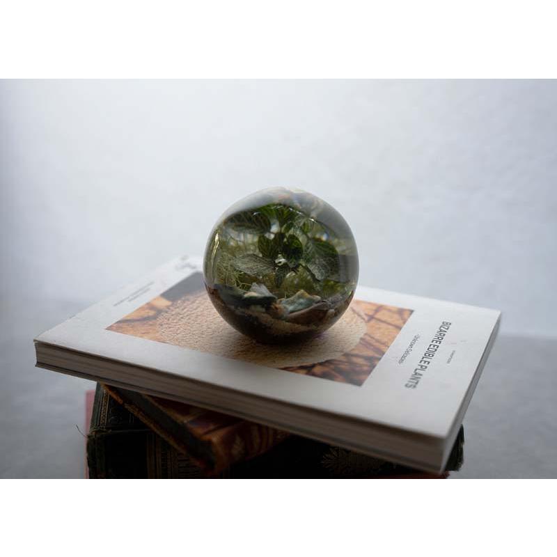 amabro（アマブロ） エバー リーフ ボール Ever Leaf Ball amabro 植物