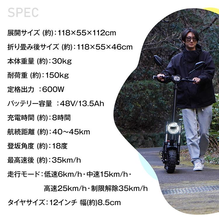 公道走行可】電動キックボード 原付一種 折りたたみ 600Wモーター 12