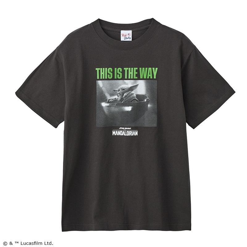 STAR WARS / スター・ウォーズ グローグー Tシャツ スミクロ