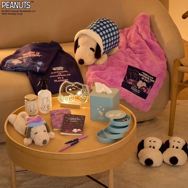 SNOOPY（スヌーピー） 山崎実業 tower タワー PEANUTS アクセサリー