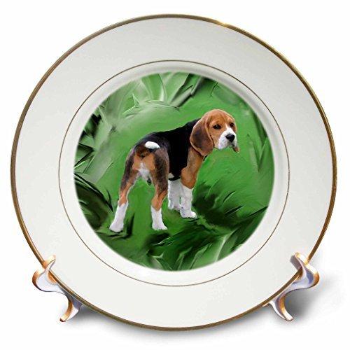 特価公式 並行輸入品 Cp 3978犬ビーグル ビーグル子犬 プレート 8 Inch Porcelain Plate Cp 3978 1 超特価コーナー Ssl Daikyogo Or Jp