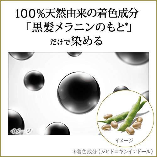 ブローネリライズ 白髪用髪色サーバー リ・ブラック (自然な黒さ) ふんわり仕上げ 男女兼用 本体 155g｜plaza-unli｜03