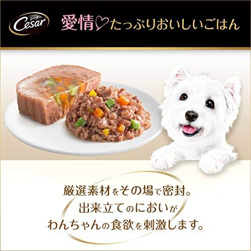 シーザー シニア犬用 14歳からの 吟選ビーフ 野菜・玄米入り 100g×24個 (まとめ買い) [ドッグフード・ウェット]｜plaza-unli｜03