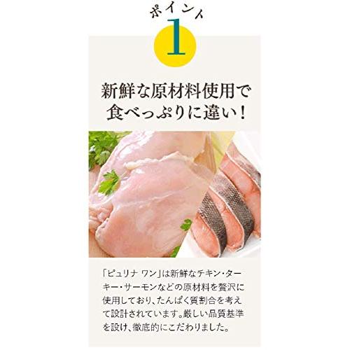 ピュリナ ワン キャットフード 健康マルチケア 15歳以上 チキン2kg (500gx4袋入)｜plaza-unli｜03