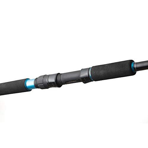 アブガルシア(Abu Garcia) ショアジギング ロッド スピニング