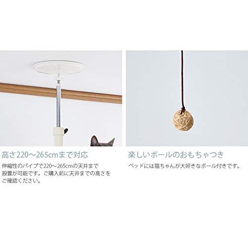 ボンビアルコン (Bonbi) キャットポールクリアハンガー 
