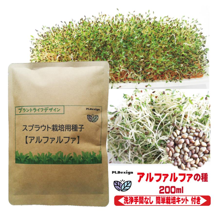 【プラントライフデザイン】アルファルファ種子 200ml  簡単栽培キット付き 高発芽率 無種子消毒 非遺伝子組換え 底面給水栽培 栽培説明書（Yahoo!・PLDヤフー店）
