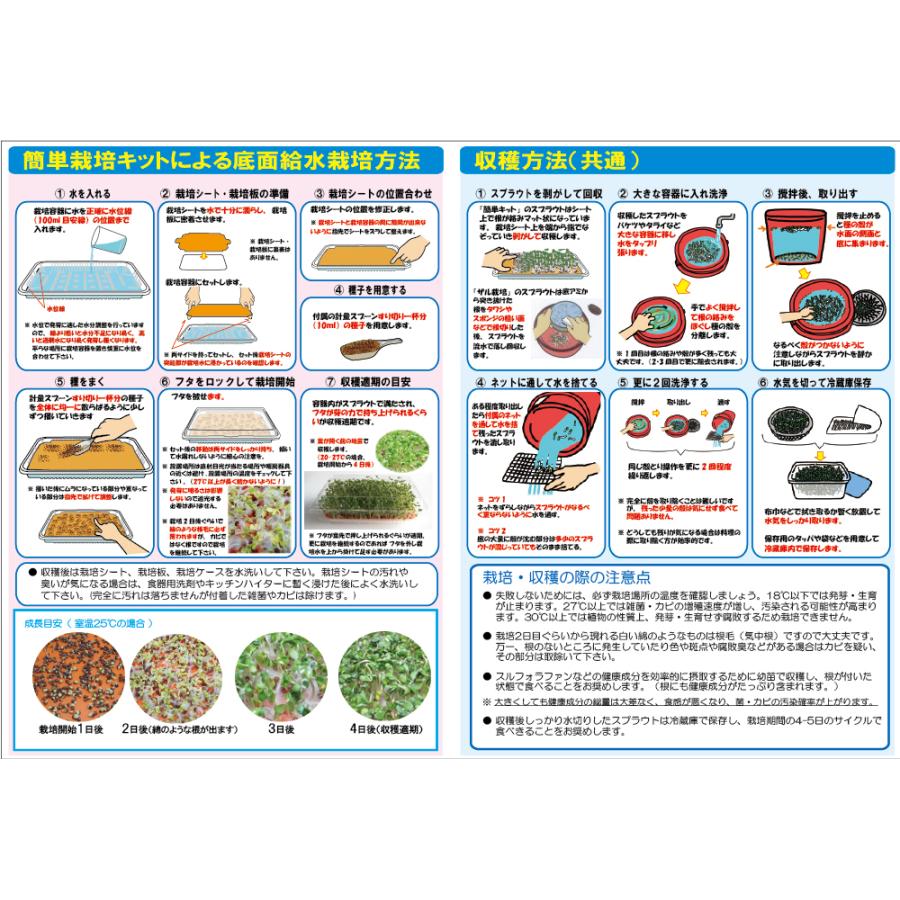 簡単栽培キット付き 】ブロッコリースプラウト 種子 200ml 健康成分