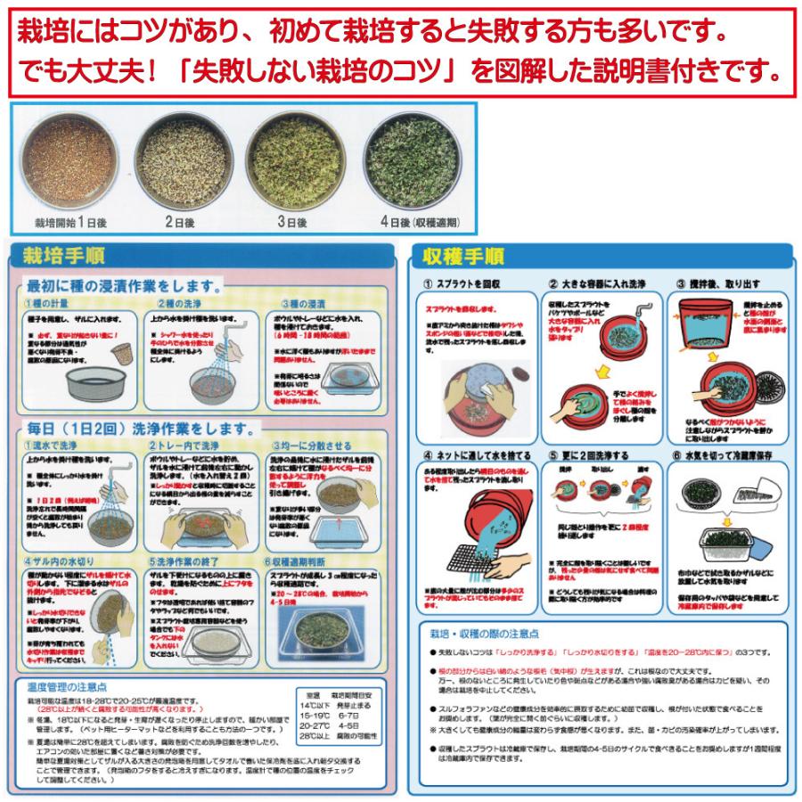 ブロッコリースプラウト種子0ml 登場 種子のみ 健康成分スルフォラファンはサプリよりスプラウト自家栽培がオススメ