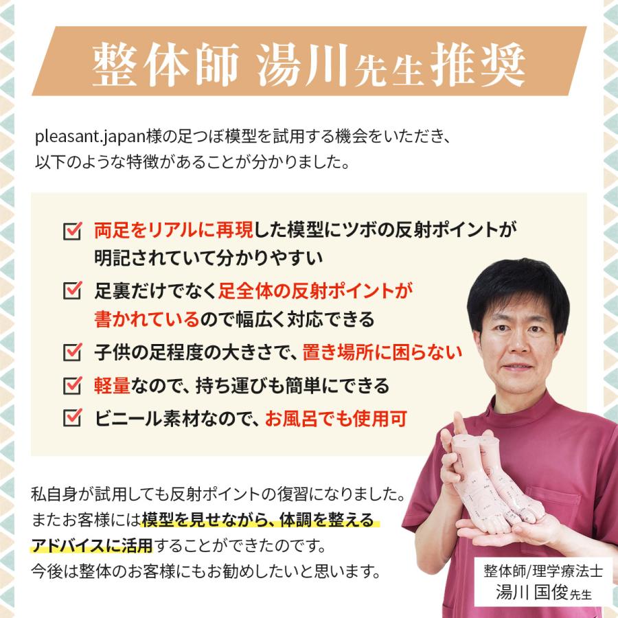 足つぼ 模型 グッズ 図解 足裏 反射区 マッサージ あしつぼ 足の