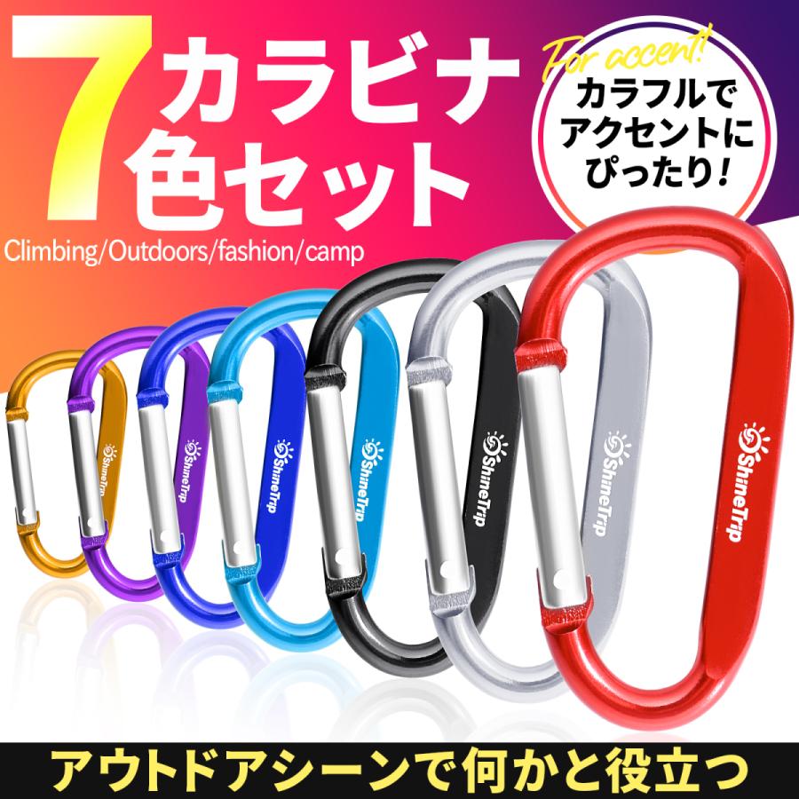 高級品市場 カラビナ フック 軽量 キャンプ キーホルダー D型 小型 おしゃれ 登山 クリップ トレッキング アウトドア スナップクリップ フック カラビナ Dリング ハイキング 屋外 20個入り 全3色 青