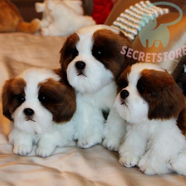 ぬいぐるみ シーズー 犬 リアル 動物 おもちゃ ギフト キッズ 子供