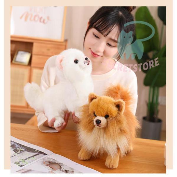 ぬいぐるみ ポメラニアン 犬 リアル そっくり 生々しい いぬ 抱き枕 イヌの置物 動物 ふわふわ 柔らかい 癒し系 部屋 インテリア 誕生日 贈り物 | ブランド登録なし | 03