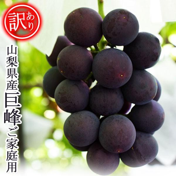 わけあり 山梨県産 巨峰 ご家庭用 訳あり きょほう ぶどう ブドウ 2kg