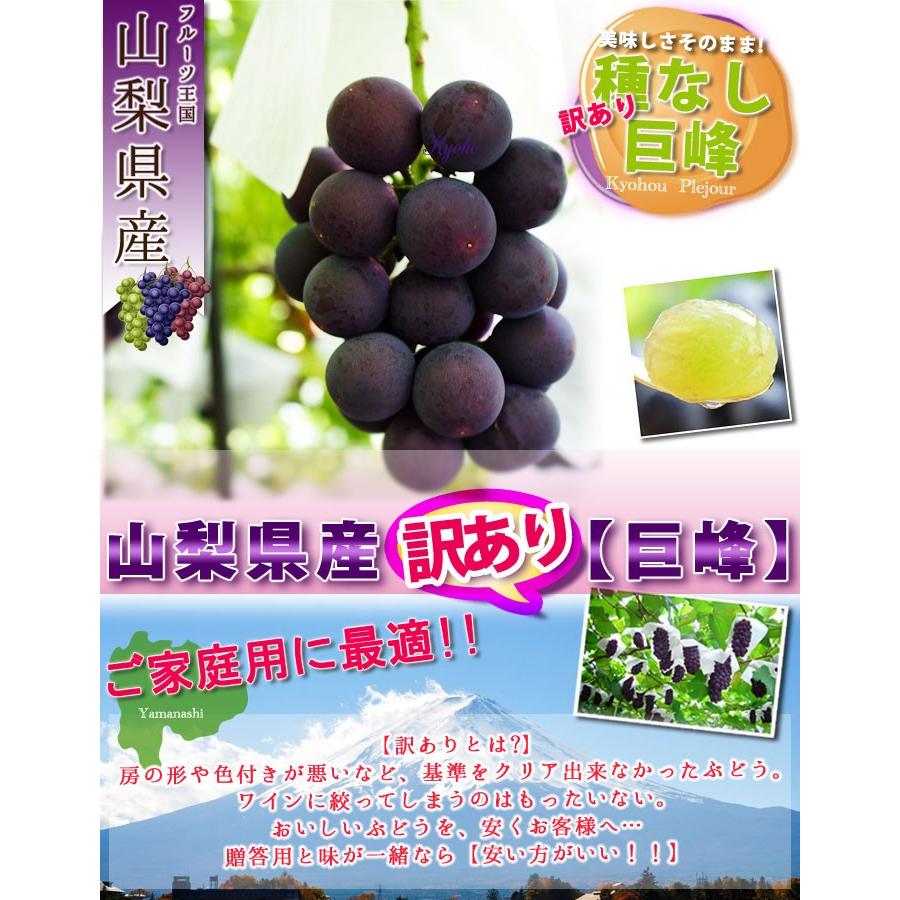 わけあり 山梨県産 巨峰 ご家庭用 訳あり きょほう ぶどう ブドウ 2kg