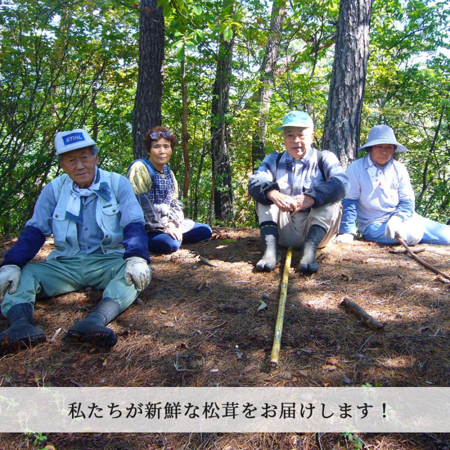 国産松茸　山梨産　約220g 送料無料】季節限定天然国産松茸 10/6AM採取 約220グラム - メルカリ