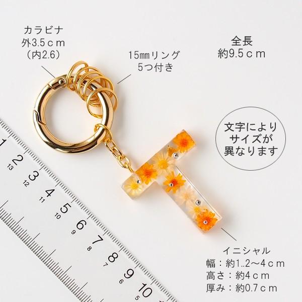 SWAROVSKI（スワロフスキー） キーリング レディース お花のイニシャル