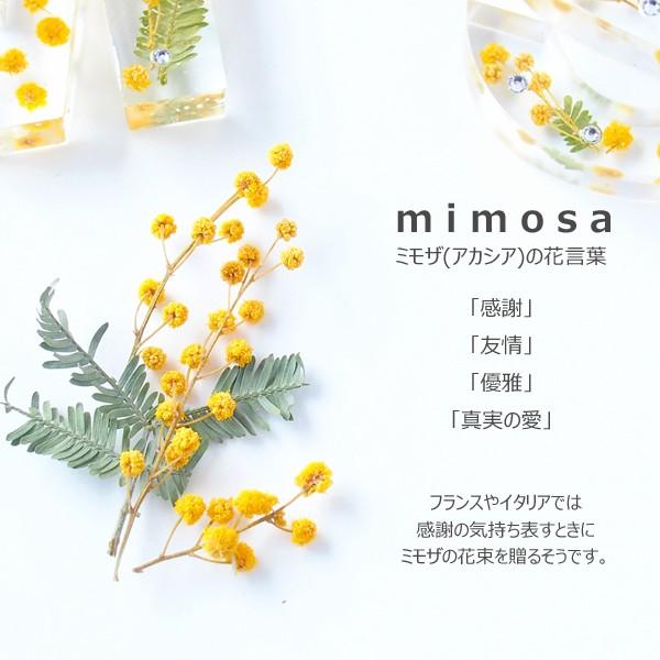 SWAROVSKI（スワロフスキー） ハーバリウム ボールペン 完成品 ミモザ