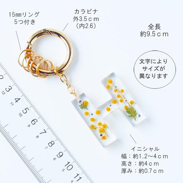 SWAROVSKI（スワロフスキー） ハーバリウム ボールペン イニシャル