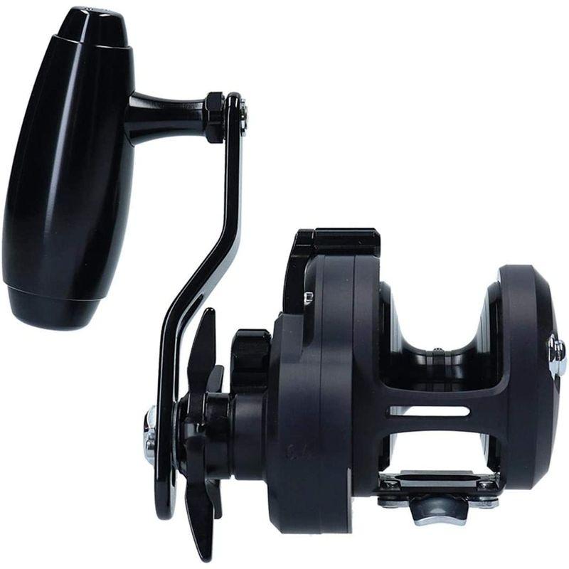 【訳あり品】 ダイワ(DAIWA) ベイトリール 19 キャタリナ 15H-SJ (2019モデル) 【BCD6895684126】(24806円)