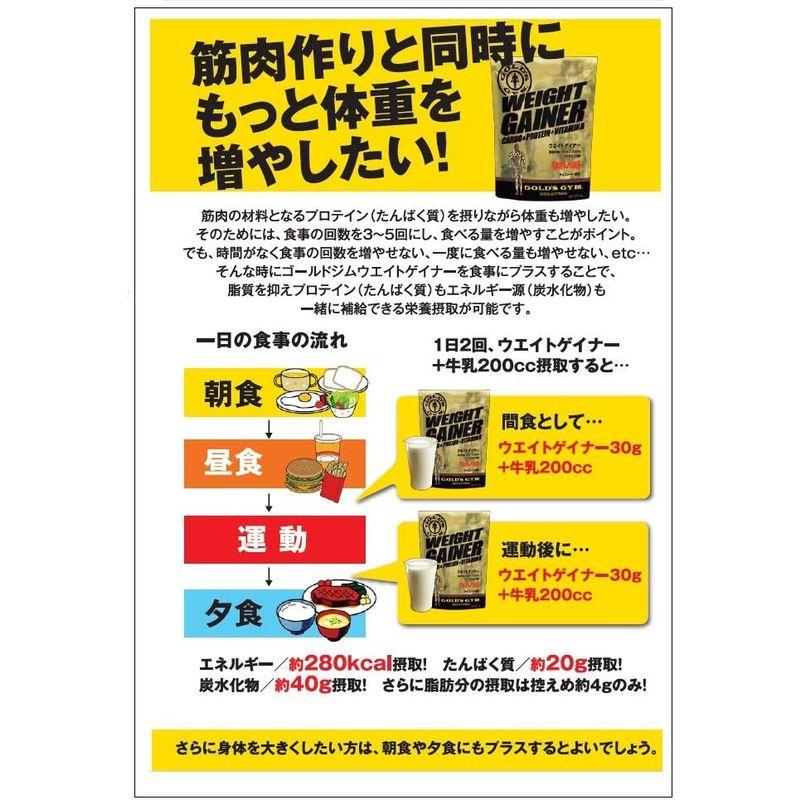 ゴールドジム(GOLDS GYM) ウエイトゲイナー チョコレート風味3ｋｇ GOLDS GYM ウエイトゲイナー チョコレート風味3ｋｇ