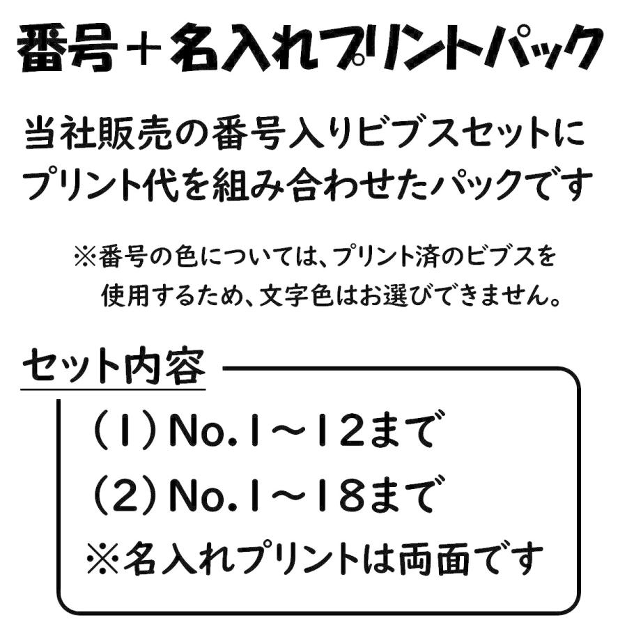 ビブス プリントパック 番号入りビブス代 両面プリント代込 7cm x 30cm