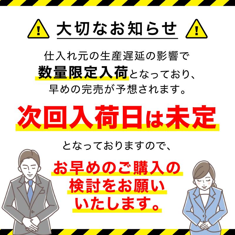 ソファーカバー 3人掛け 2人掛け 肘なし 肘あり おしゃれ ずれない 一人掛け 北欧  安い｜plin｜21