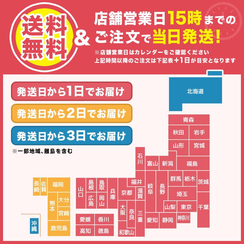 ソファーカバー 3人掛け 2人掛け オシャレ ずれない ソファカバー 肘あり かけるだけ ストレッチ 肘付き 伸びる 二人掛け おしゃれ 一人掛け｜plin｜28