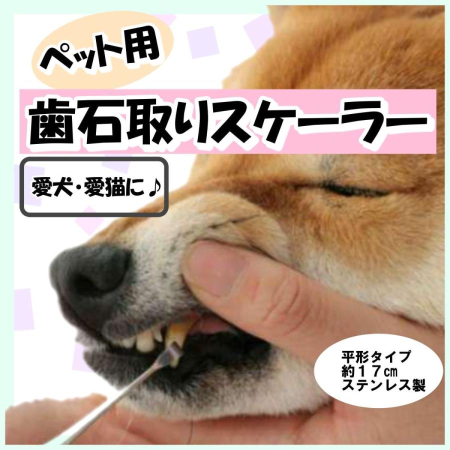 スケーラー 歯石 犬 ペット用品 歯石取り ケア用品 口腔ケア 猫 T56 T56 Plin公式ショップ 通販 Yahoo ショッピング