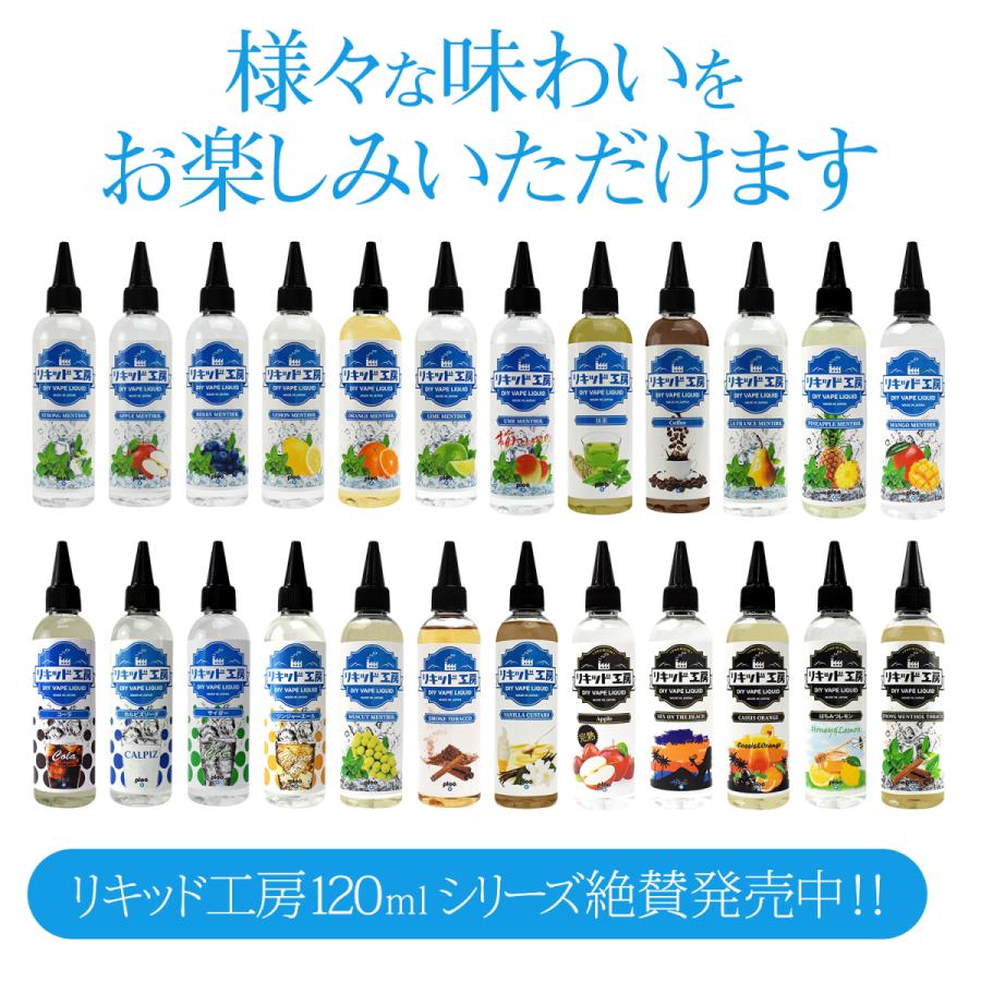 リキッド ニードルボトル 10ml 8本セット ラベルシール8枚付き DIY