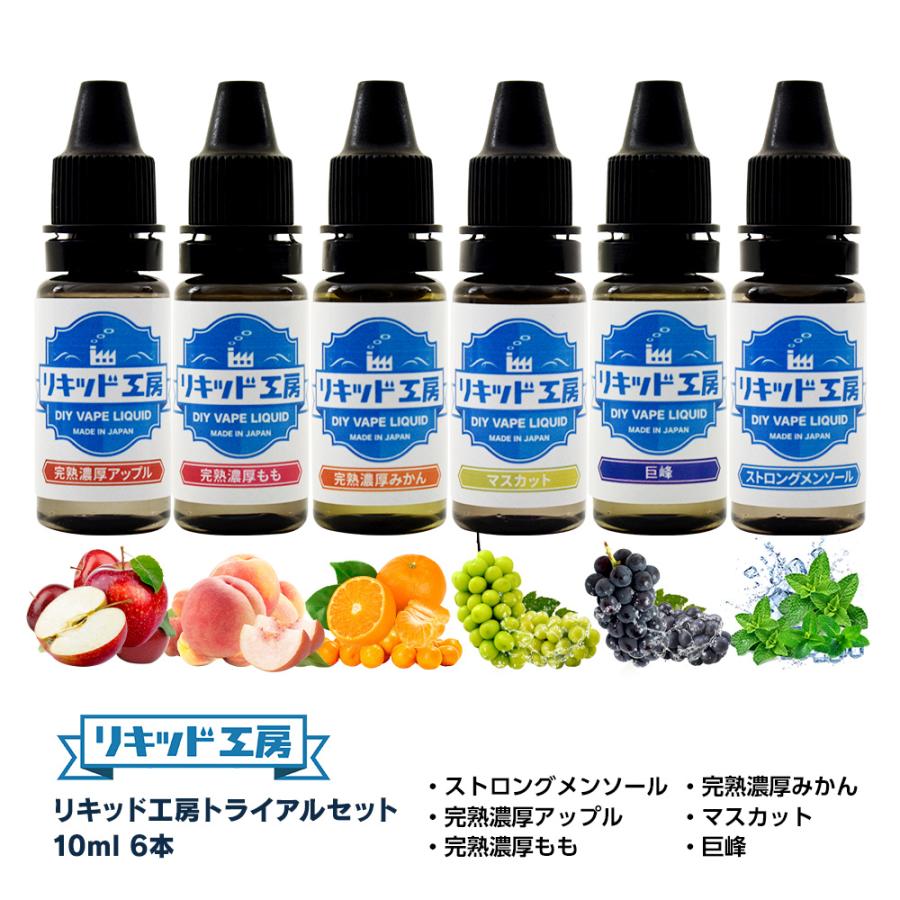 電子タバコ リキッド リキッド工房 10ml お試し6本セット（ストロング 