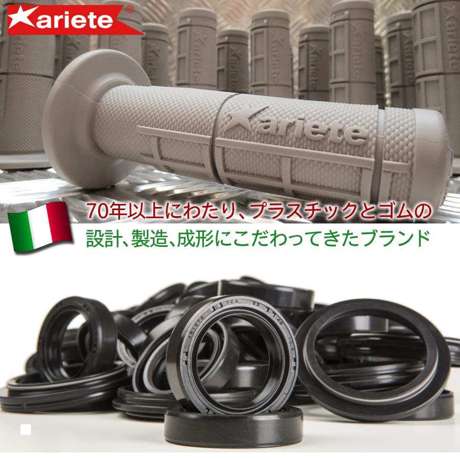 [特価品]アリート WABI ゴーグル クリアレンズ レッド/ブルー 14980-ABR |  | 02