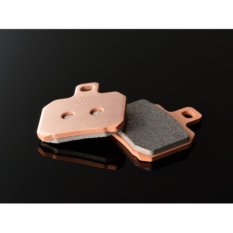 Daytona (デイトナ) ゴールデンパッドX(R)999S(02) 97177 | DAYTONA（バイク用品）