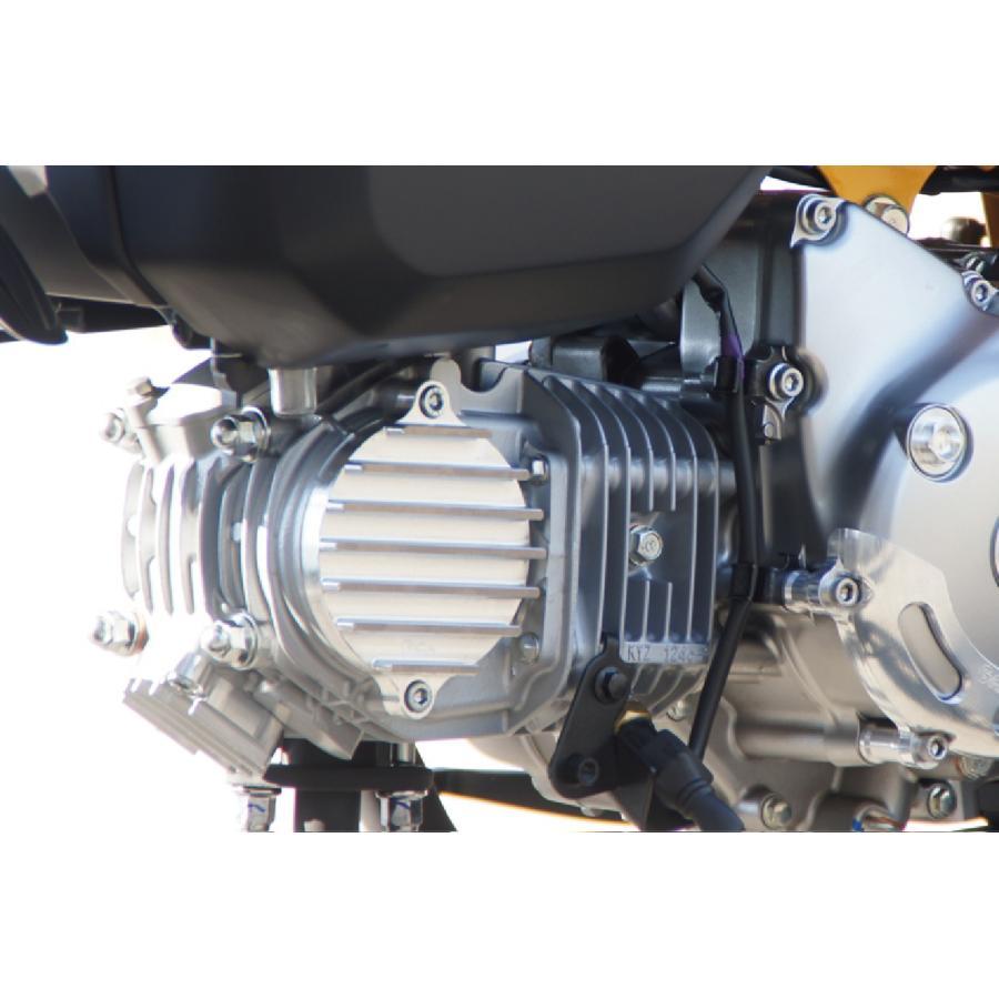 Gクラフト (ジークラフト) カムカバー シルバー モンキー125 31256 | Gcraft