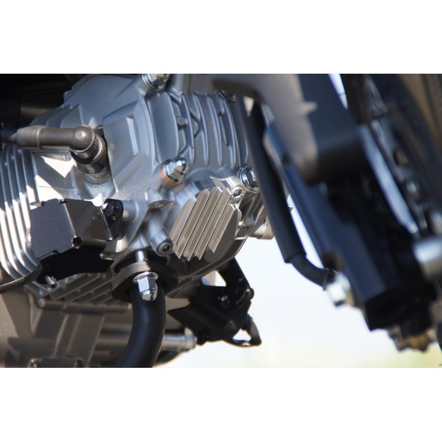 Gクラフト (ジークラフト) タペットフィンカバー シルバー モンキー125 31273 | 