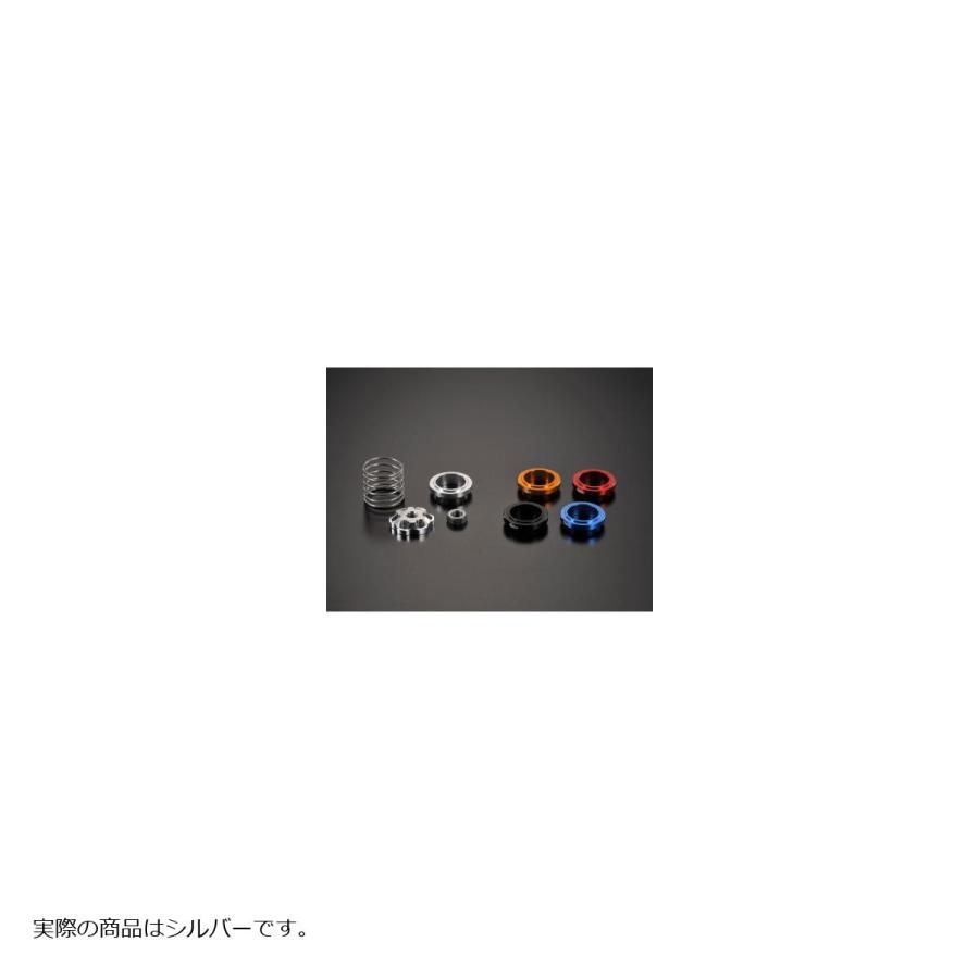 Gクラフト (ジークラフト) ブレーキスプリング シルバー チョウセイシキ リアマスター用 39413 | Gcraft | 01