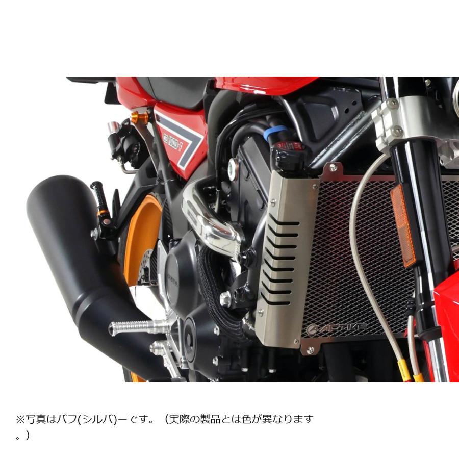 ACTIVE(アクティブ) サブフレーム マットブラック CB1000F 1111048B | ACTIVE（釣り） | 04