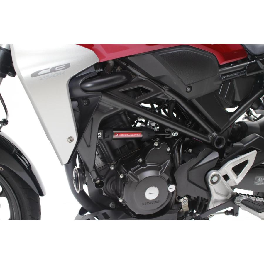 ACTIVE (アクティブ) パフォーマンスダンパー CB250R 13691103 | ACTIVE（釣り） | 01