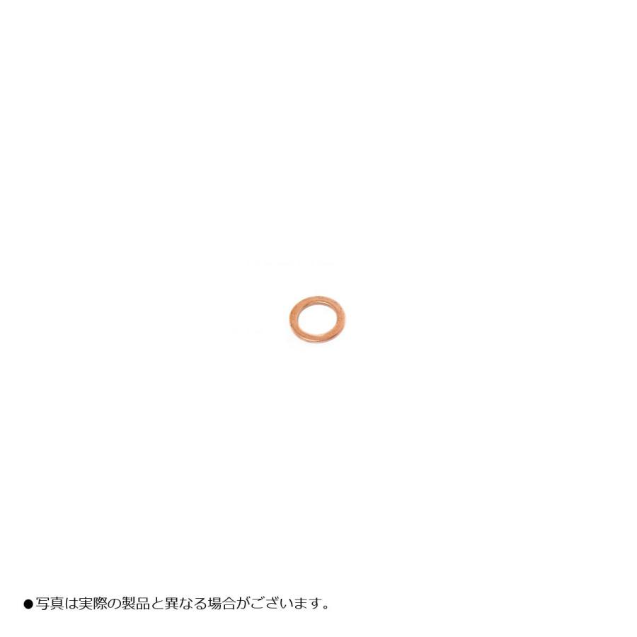ACTIVE (アクティブ) クラッシュワッシャー 銅 [内径10mm] 100枚入り 20998100 | ACTIVE（釣り）