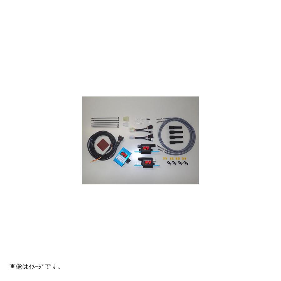 ASウオタニ (エーエスウオタニ) SPIIパワーコイルキット コードS付 A (2P*2) 80 1032P | ASウオタニ