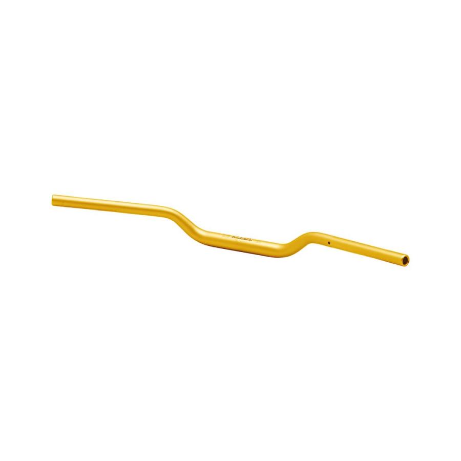 [特価品]エフェックス イージーフィットバーPlus ゴールド MT-09 21-22 PBTF369G | EFFEX | 02