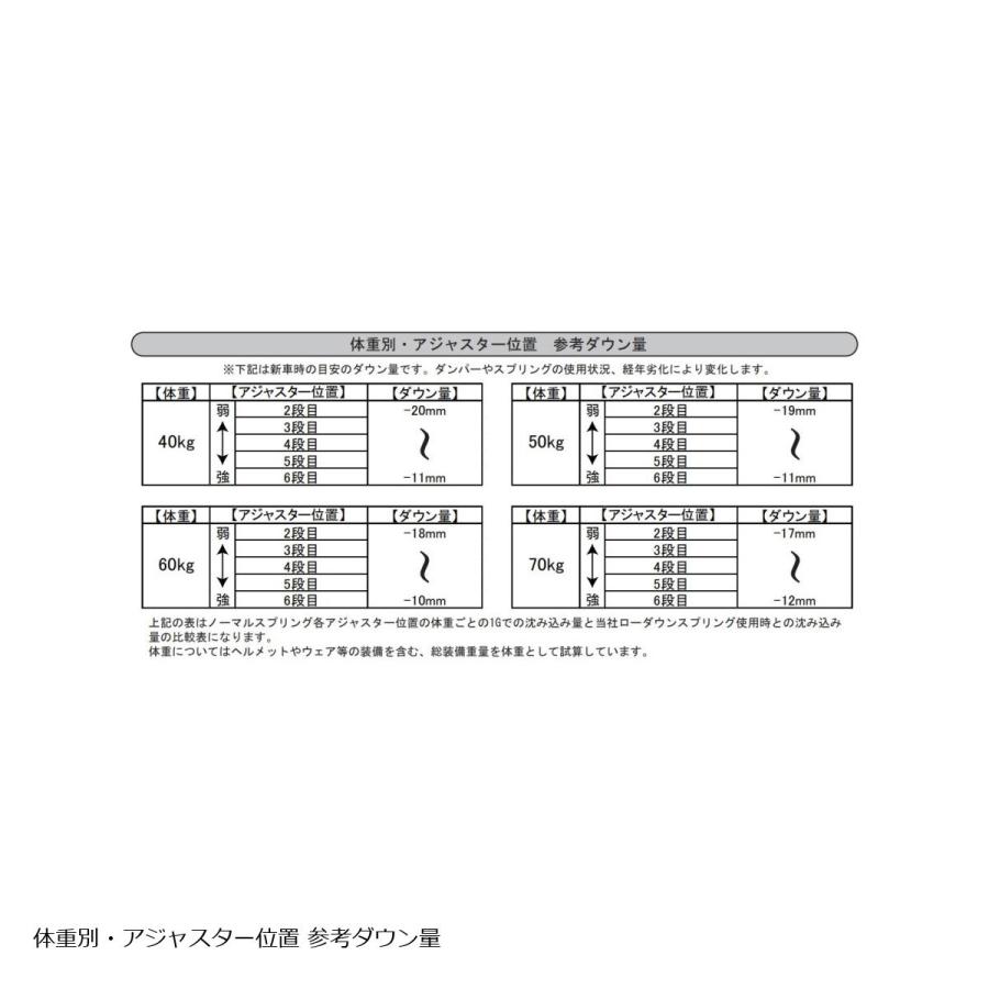 EFFEX (エフェックス) ローダウンキット 約15mm(10〜20mm)ダウン CB650R/CBR650R/E-Clutch PHA0045D | EFFEX | 07