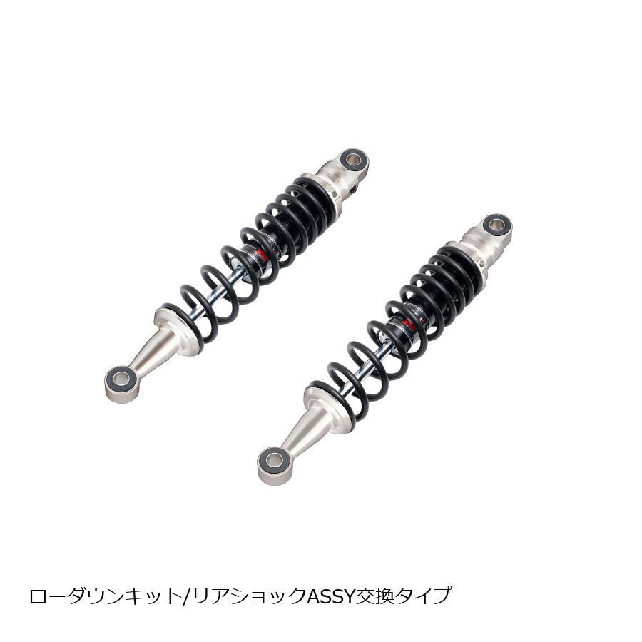 EFFEX (エフェックス) ローダウンキット 約25mmダウン シルバー/ブラック CL250 23 PHA0055D-SK | EFFEX