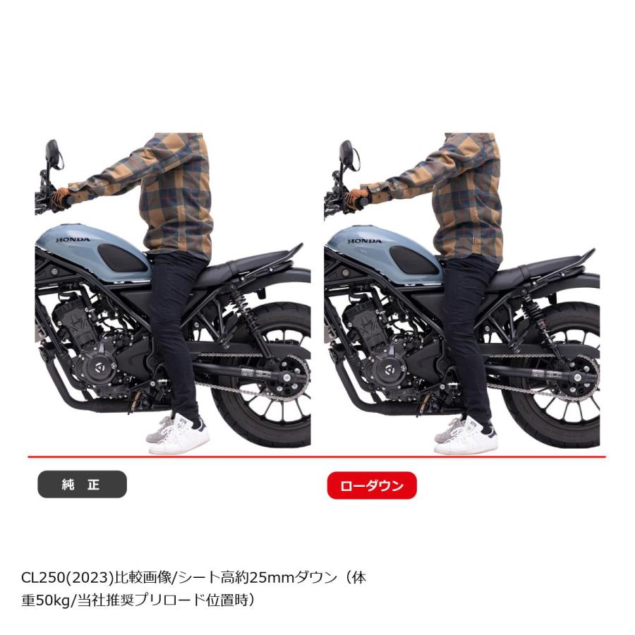 EFFEX (エフェックス) ローダウンキット 約25mmダウン シルバー/ブラック CL250 23 PHA0055D-SK | EFFEX | 02