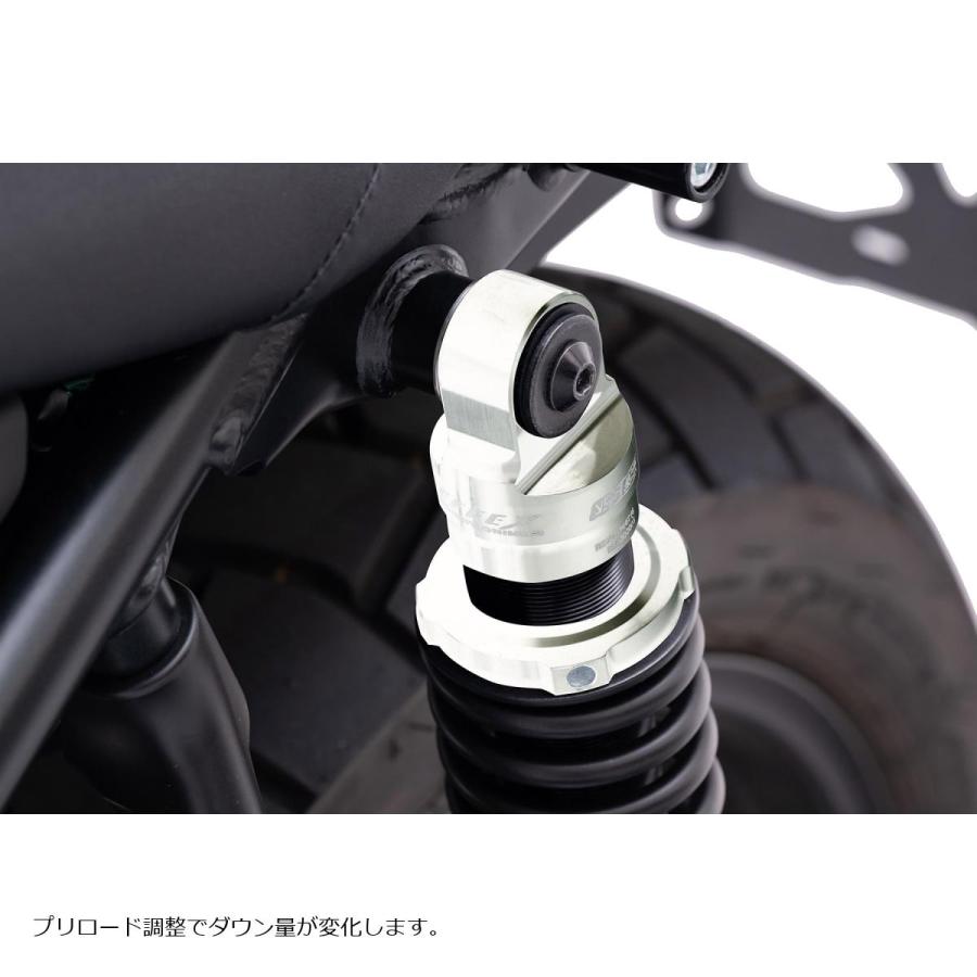 EFFEX (エフェックス) ローダウンキット 約25mmダウン シルバー/ブラック CL250 23 PHA0055D-SK | EFFEX | 05