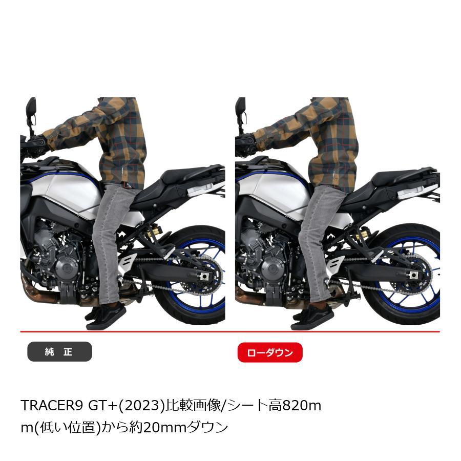 EFFEX (エフェックス) ローダウンコンプキット 20mmダウン TRACER9 GT+ 23 PHA385D-SET | EFFEX | 02